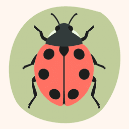 Tidy Ladybug